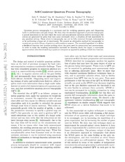 Self-Consistent Quantum Process Tomography